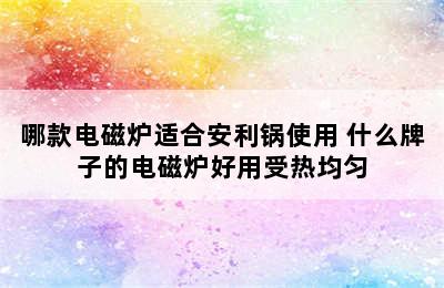 哪款电磁炉适合安利锅使用 什么牌子的电磁炉好用受热均匀